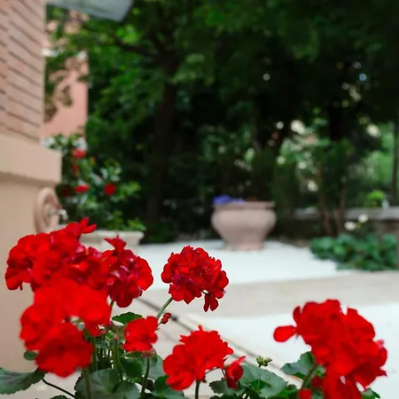 La Casa Dei Nonni Bolonya