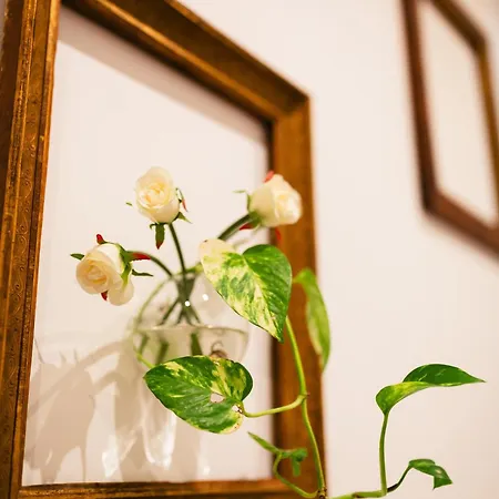 La Casa Dei Nonni Lägenhet Bologna